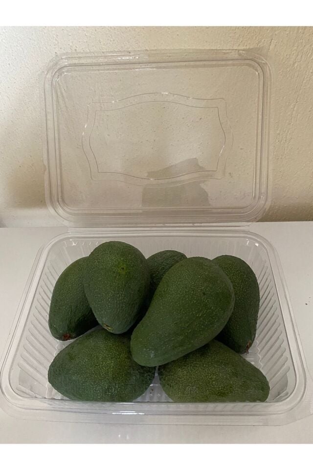 Avokado 1 Kg Dalından Taze Hasat - Küçük Boy
