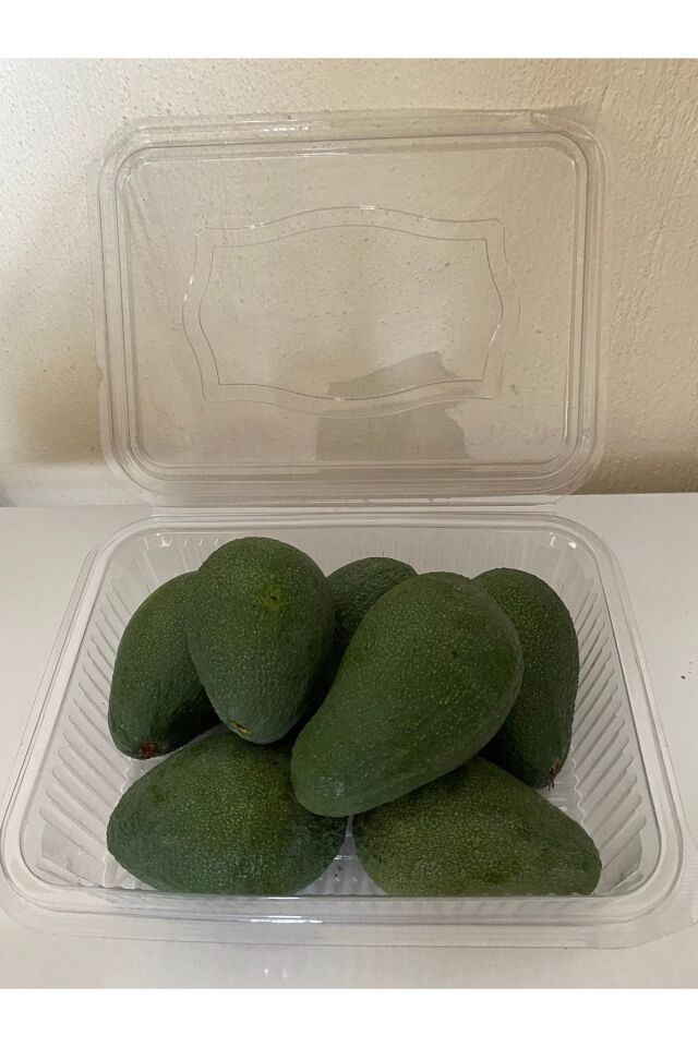 Has Avokado 1 Kg Dalından Taze Hasat - Küçük Boy