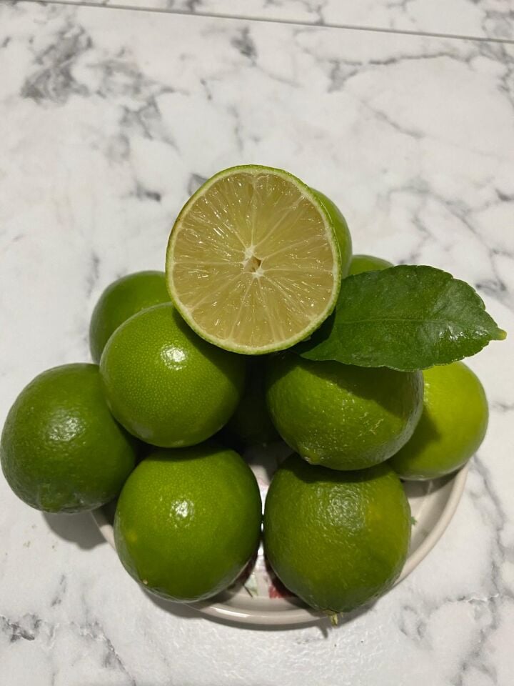Limon 1 Kg Dalından Taze Hasat Yeşil