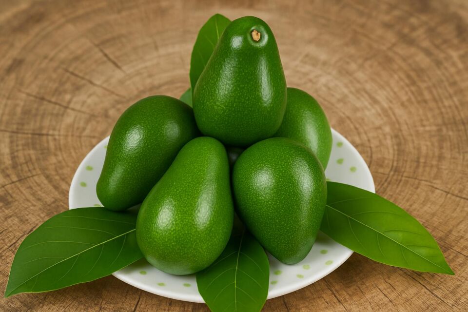 Avokado Has-Dalından Taze 1 Kg -Yeni Hasat