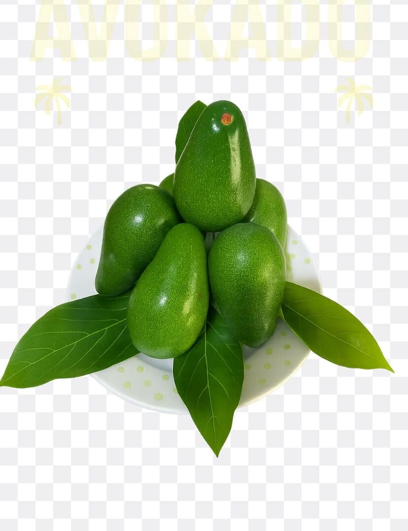 Avokado  Büyük Boy (Clifton) 1 Kg -Taze Hasat