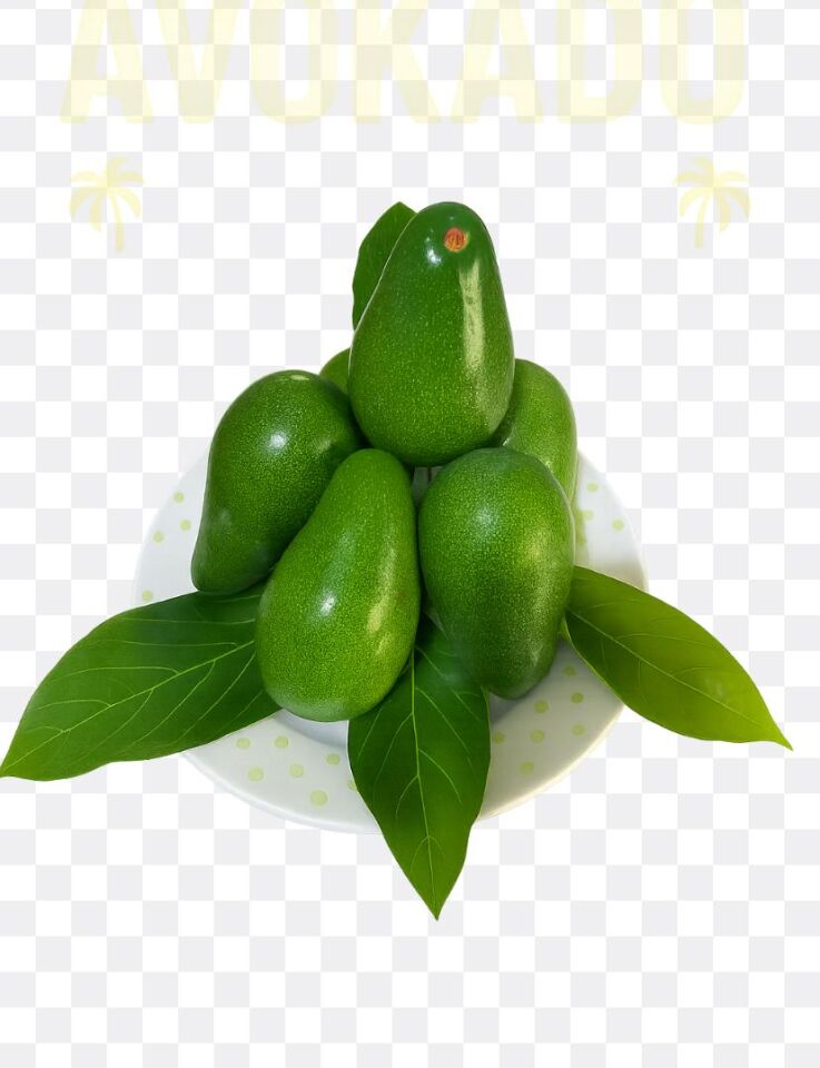 Avokado  Has-Büyük Boy 1 Kg -Taze Hasat