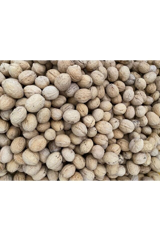 Ceviz Doğal ve Yeni Sezon 1 kg