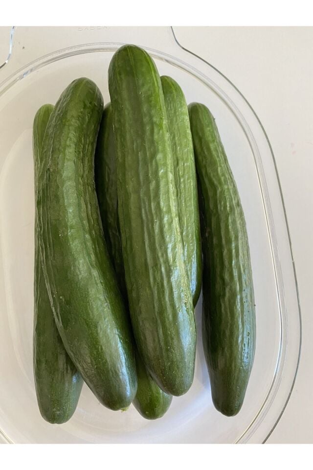 Salatalık Taze Hasat 1 kg