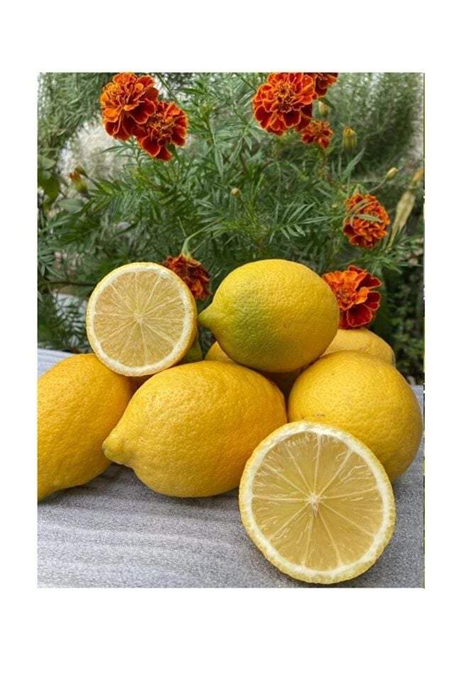 Sıkmalık Portakal 3 Kg - Limon 2 Kg