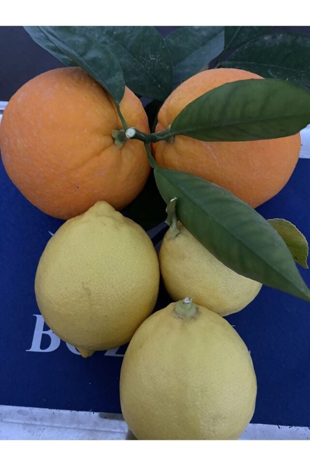 Sıkmalık Portakal 3 Kg - Limon 2 Kg