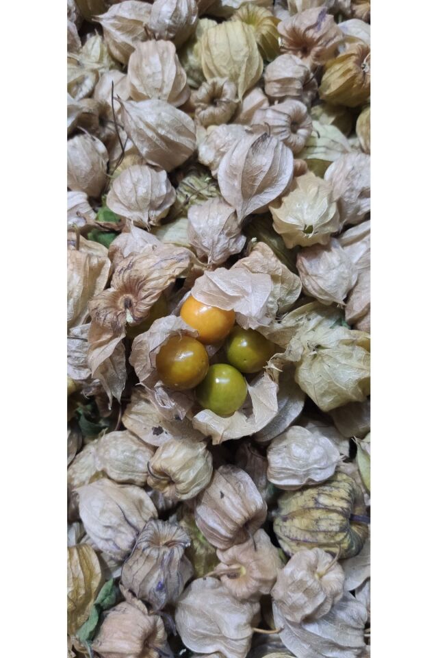 Altın Çilek Yer Kirazı 500 Gr