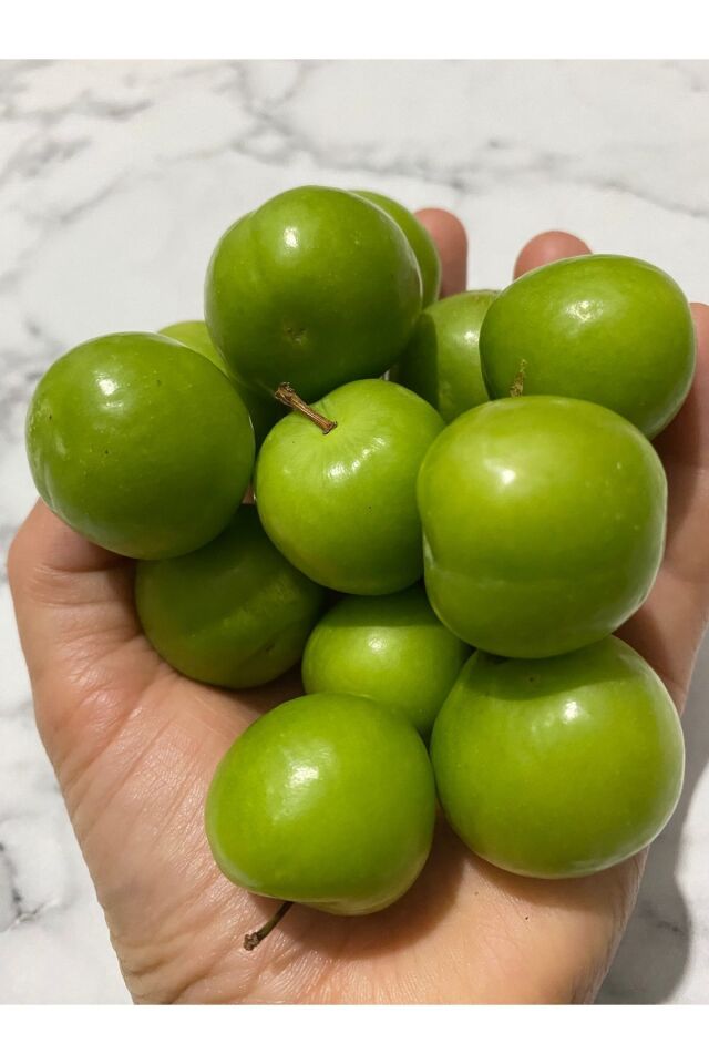 Can Erik (PAPAZ ERİĞİ) Çağla Eriği Hamileler Için 250 gr