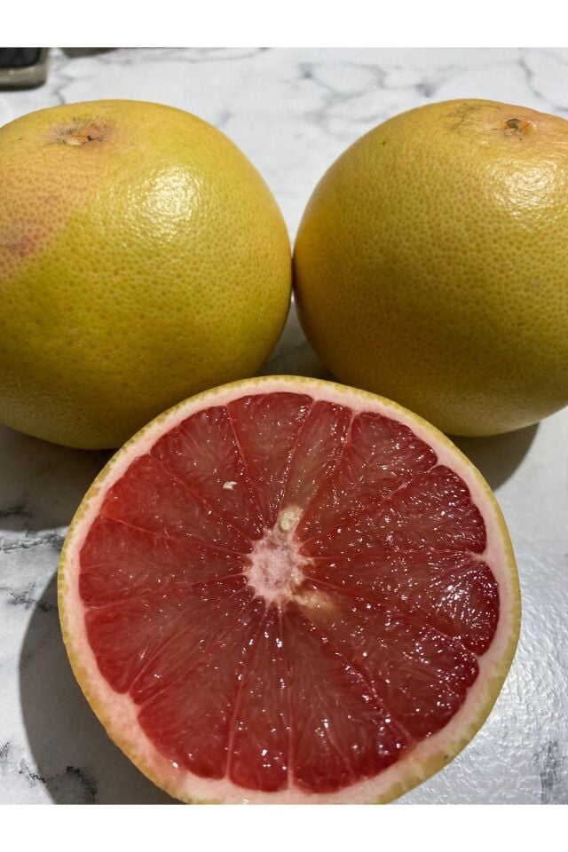 Greyfurt 3 Adet 300-500gr Arası