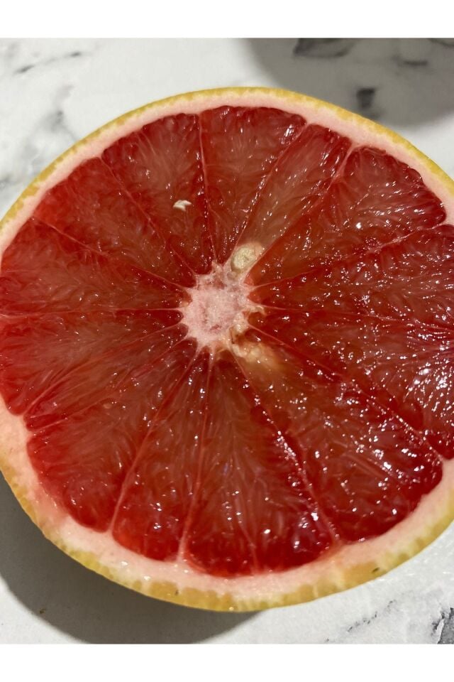 Greyfurt 3 Adet 300-500gr Arası