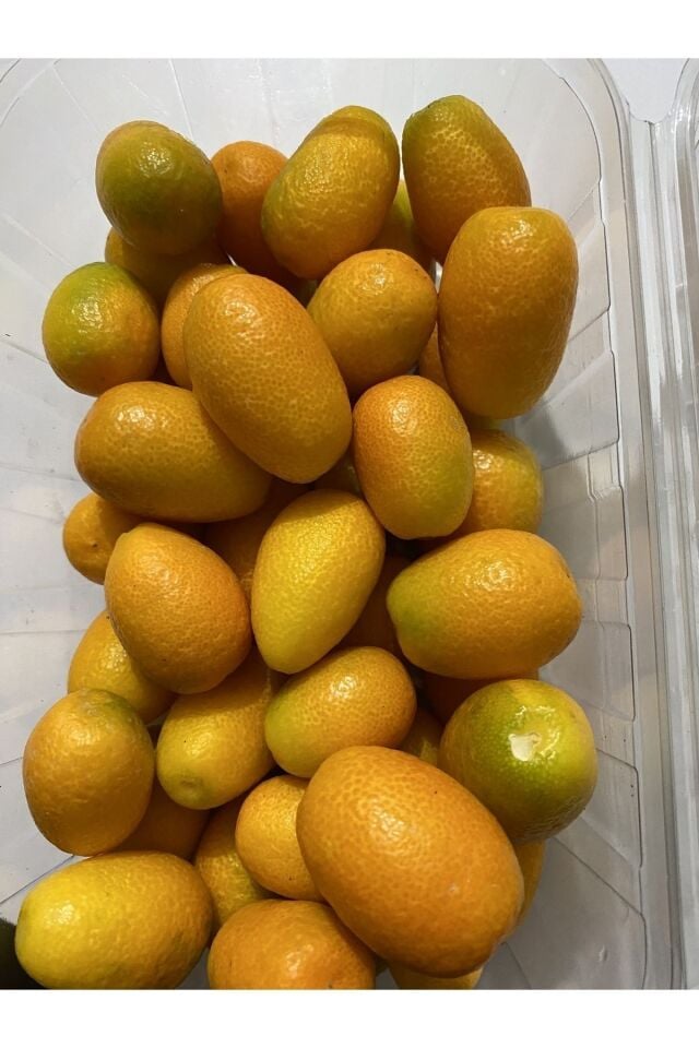 Kamkat Dalından Taze Hasat 1 Kg