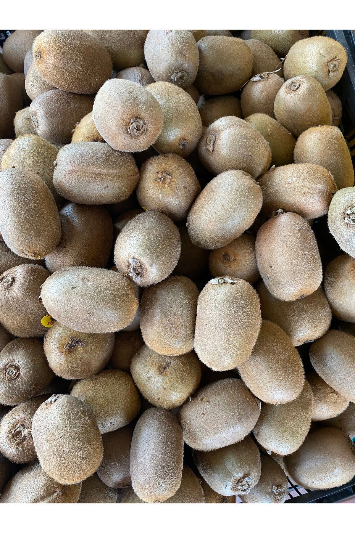 Kivi 1 kg