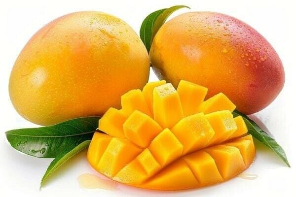 Mango Yerli Taze Hasat 1 Kg