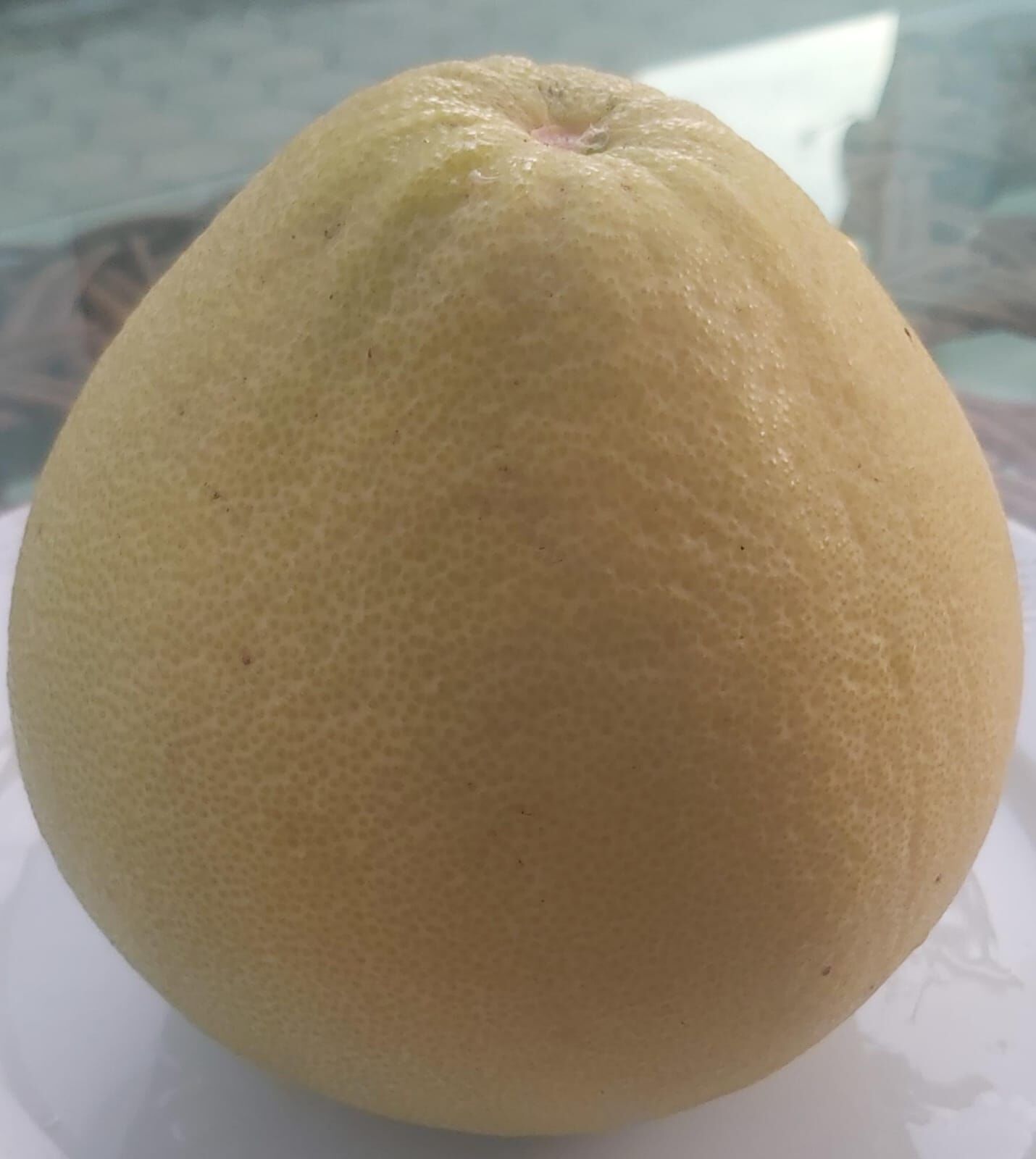 ŞADOK-POMELO MEYVESİ(600-1000 gr arası) 1 ADET