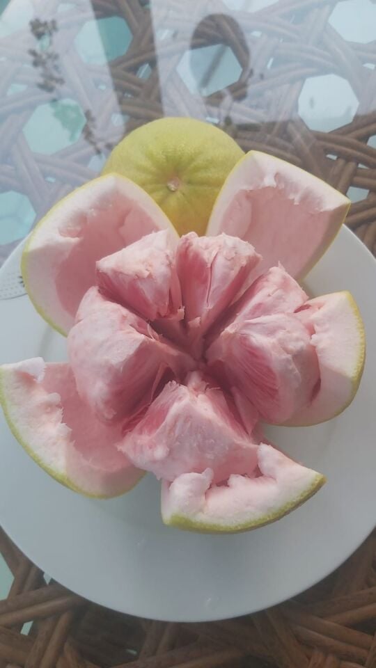 ŞADOK-POMELO MEYVESİ(600-1000 gr arası) 1 ADET